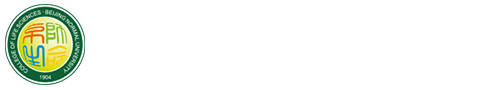 2026世界杯官网